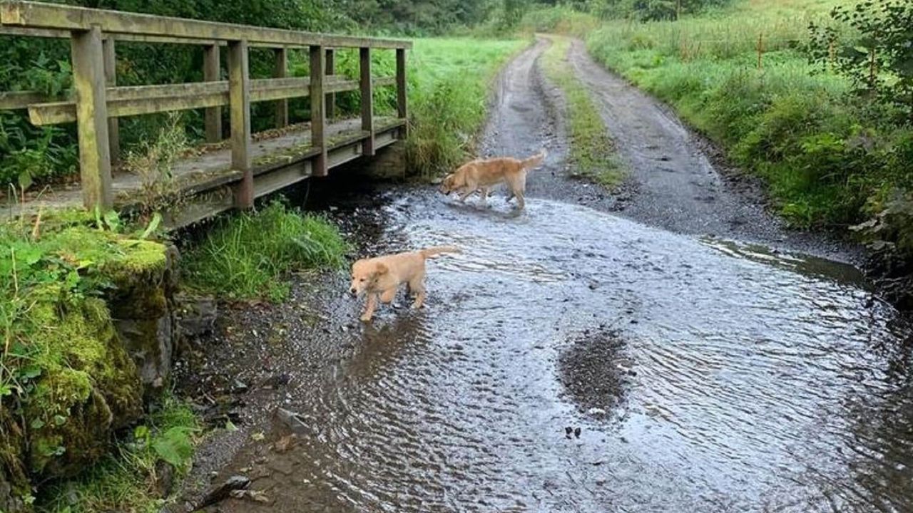 AreaSummer1KM AreaSummer1KM